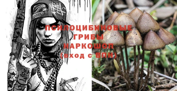 apvp Новокубанск
