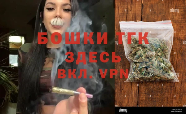 стафф Новодвинск