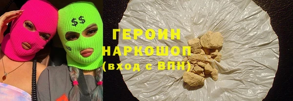 гашик Туринск